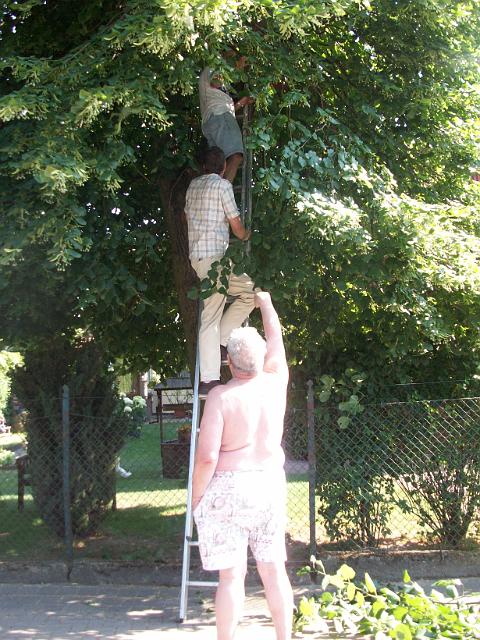 Schuetzenfest 1 (2).jpg